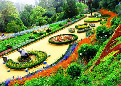 Ooty & Kodaikanal